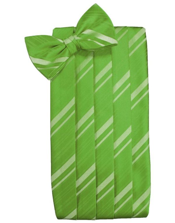 Kelly Kids Striped Satin Cummerbund Hot on Sale