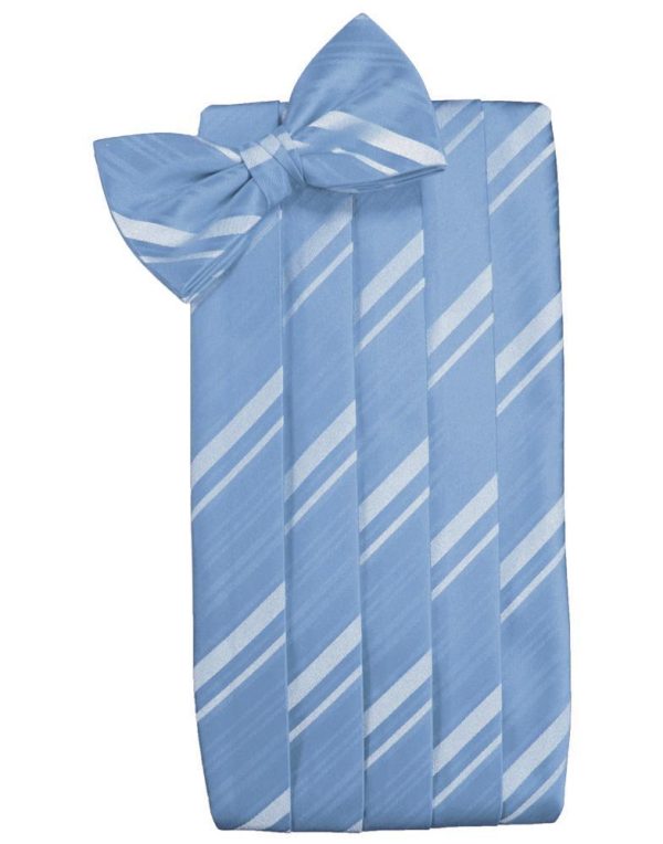 Cornflower Kids Striped Satin Cummerbund Fashion