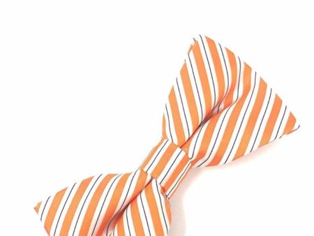 Orange Newton Stripe Kids Bow Tie Online