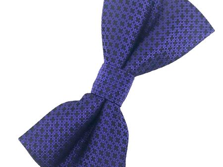 Purple Regal Kids Bow Tie For Sale