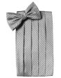 Silver Palermo Kids Cummerbund For Discount